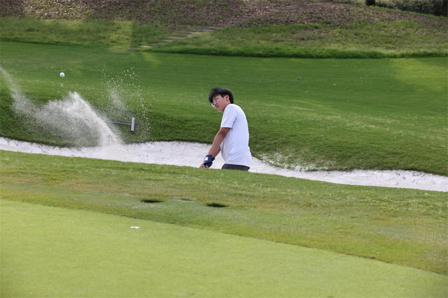 1715076351788073.jpg image017.jpg