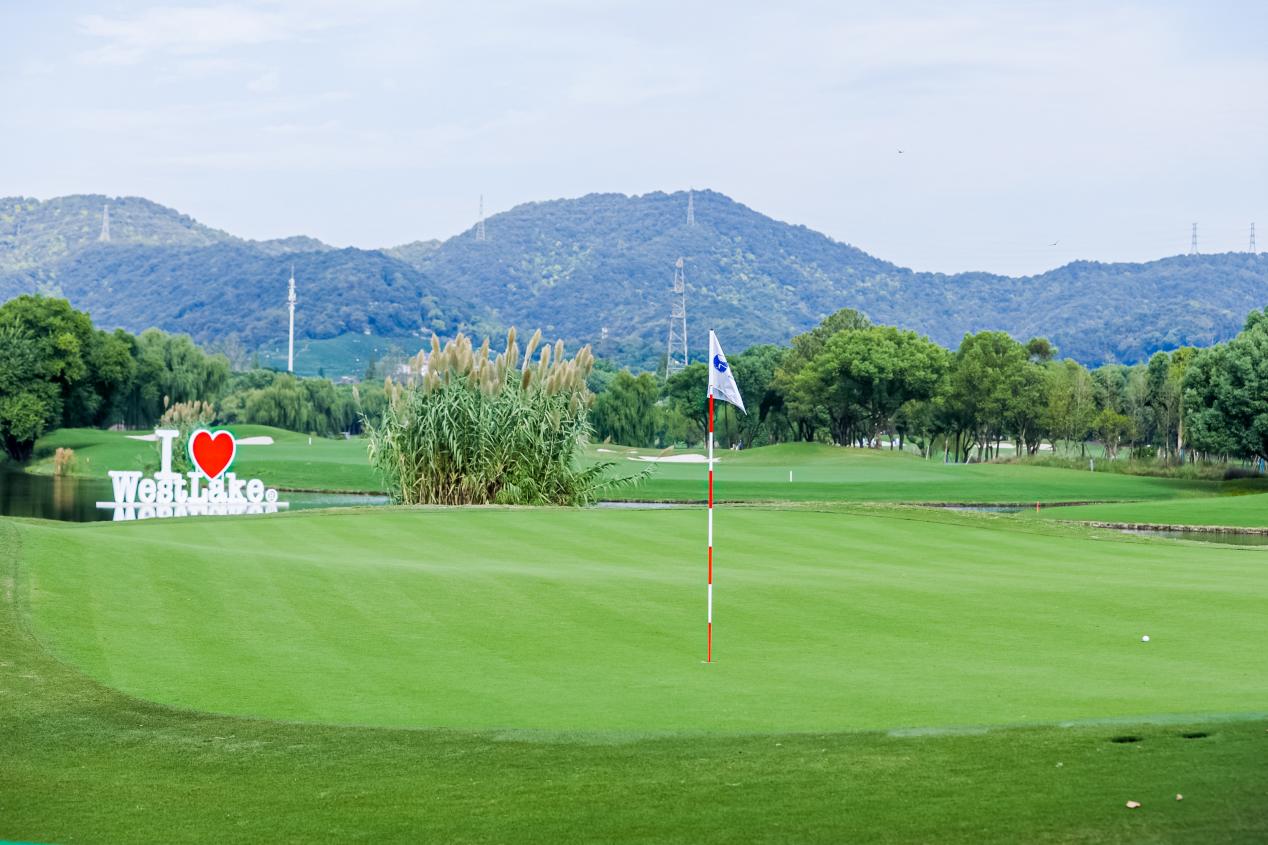 1730701651531531.jpg image007.jpg